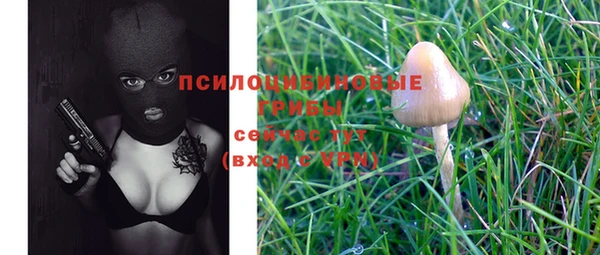 прущий лед Алексеевка