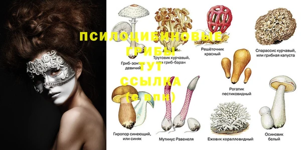 прущая мука Алексин