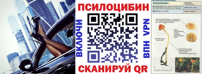 продажа наркотиков  Жуковка  Галлюциногенные грибы Psilocybe 